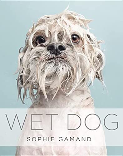 Book Cover Wet Dog