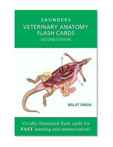 Book Cover Veterinary Anatomy Flash Cards, 2e