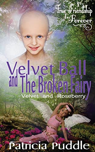 Book Cover Velvet Ball and The Broken Fairy