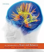 Book Cover An Introduction to Brain and Behavior