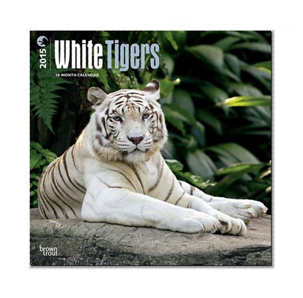 White Tigers 2015 Square 12x12 (Multilingual Edition)
