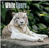 White Tigers 2015 Square 12x12 (Multilingual Edition)