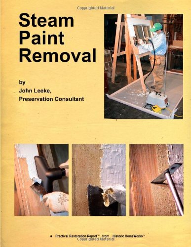 Steam Paint Removal