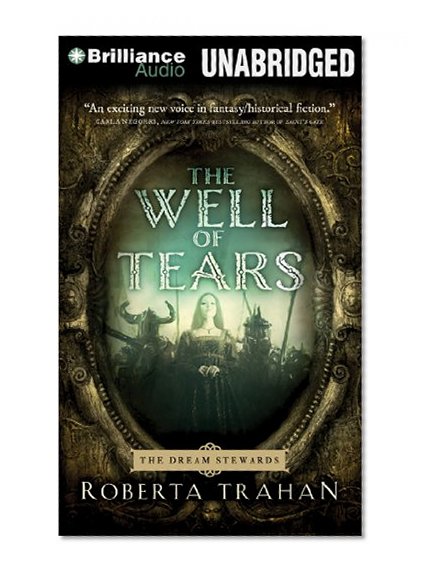 The Well of Tears: A Novel (The Dream Stewards)