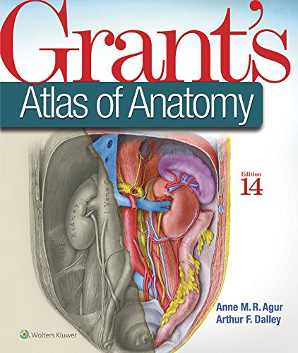 Book Cover Grant's Atlas of Anatomy (Grant, John Charles Boileau//Grant's Atlas of Anatomy)