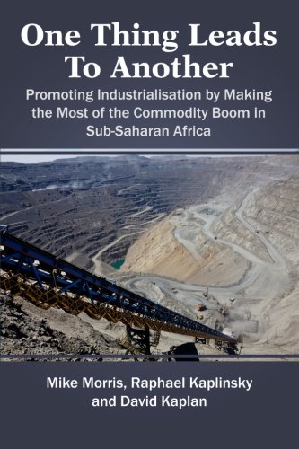 One Thing Leads to Another: Promoting Industrialisation by Making the Most of the Commodity Boom in Sub-Saharan Africa