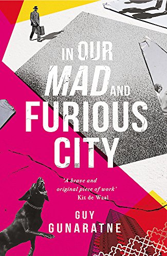 Book Cover In Our Mad and Furious City