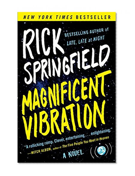 Book Cover Magnificent Vibration: A Novel