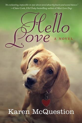 Book Cover Hello Love