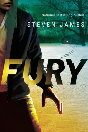 Book Cover Fury (Blur Trilogy)