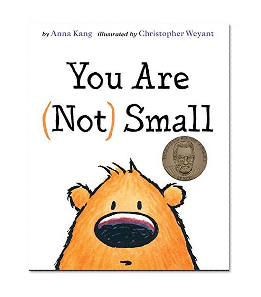 Book Cover You Are Not Small
