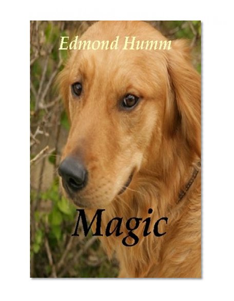 Magic: The story of a lost dog and a wounded Marine.