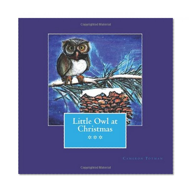 Little Owl at Christmas