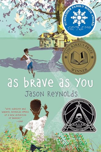 Book Cover As Brave As You