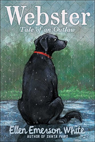 Book Cover Webster: Tale of an Outlaw