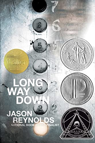 Book Cover Long Way Down
