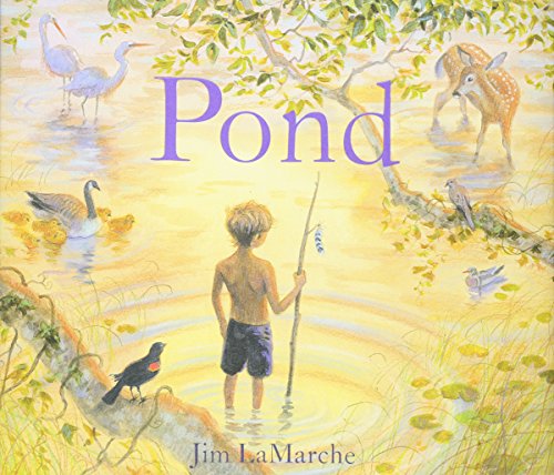 Book Cover Pond