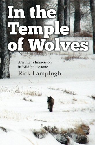 Book Cover In the Temple of Wolves: A Winter's Immersion in Wild Yellowstone