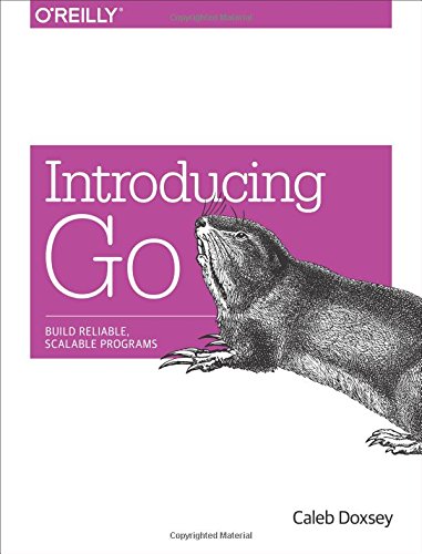 Book Cover Introducing Go: Build Reliable, Scalable Programs