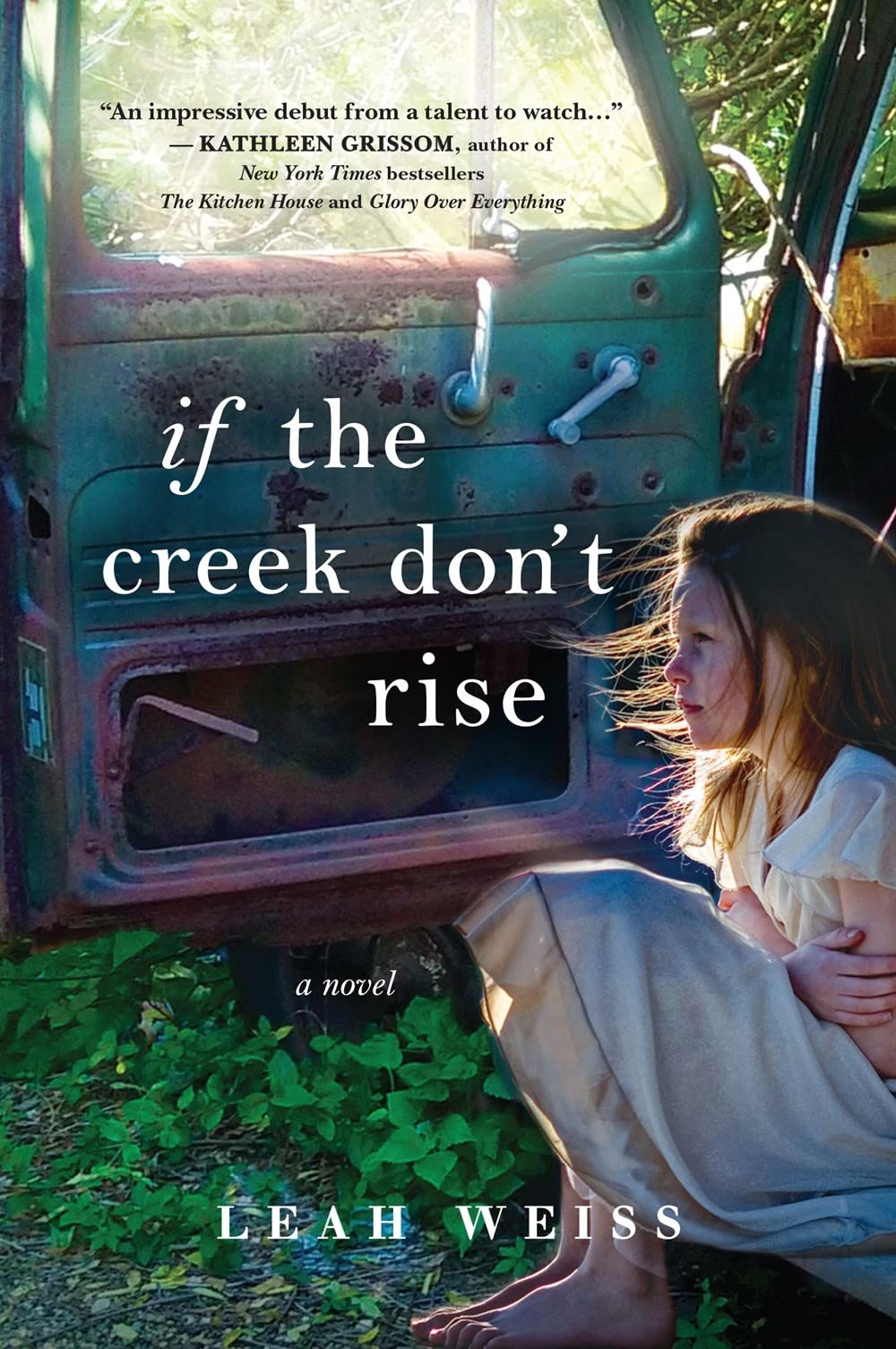Book Cover If the Creek Don't Rise: A Novel