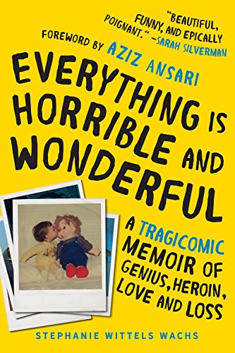 Book Cover Everything Is Horrible and Wonderful: A Tragicomic Memoir of Genius, Heroin, Love, and Loss