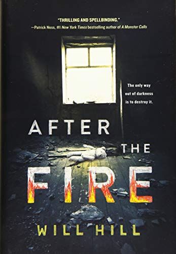 Book Cover After the Fire