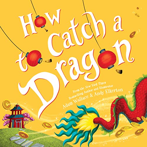 Book Cover How to Catch a Dragon