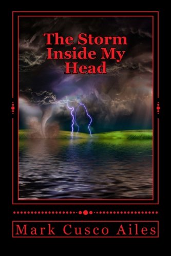 Book Cover The Storm Inside My Head