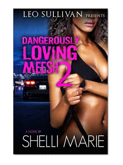 Book Cover Dangerously Loving Meesh 2