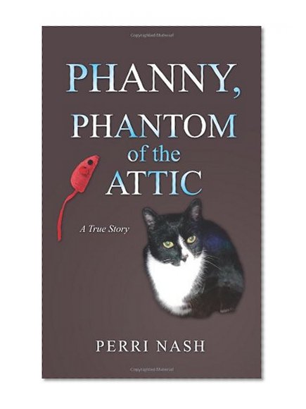 Phanny, Phantom of the Attic
