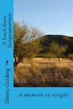 A book from Songsoulwriter (Collection of Songsoulwriter stories) (Volume 1)