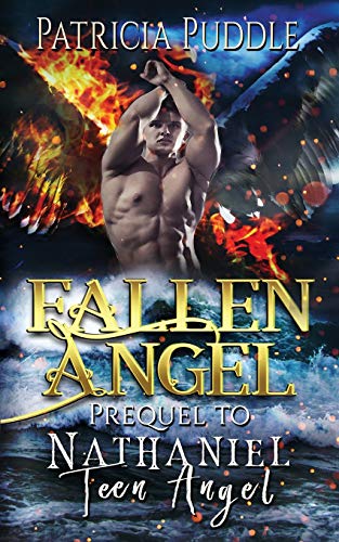 Book Cover Fallen Angel: Prequel to Ominous Love