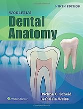 Book Cover Woelfels Dental Anatomy