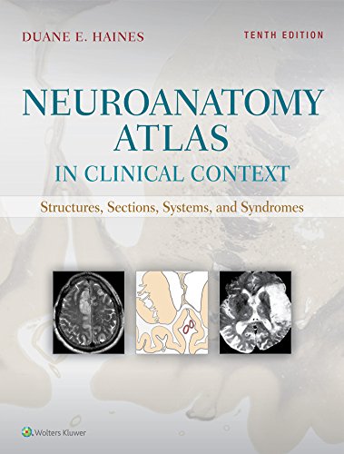 Book Cover Neuroanatomy Atlas in Clinical Context: Structures, Sections, Systems, and Syndromes