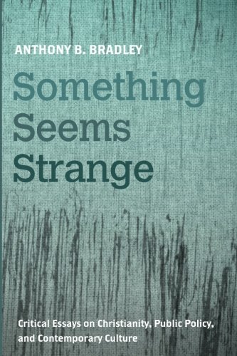 Book Cover Something Seems Strange: Critical Essays on Christianity, Public Policy, and Contemporary Culture