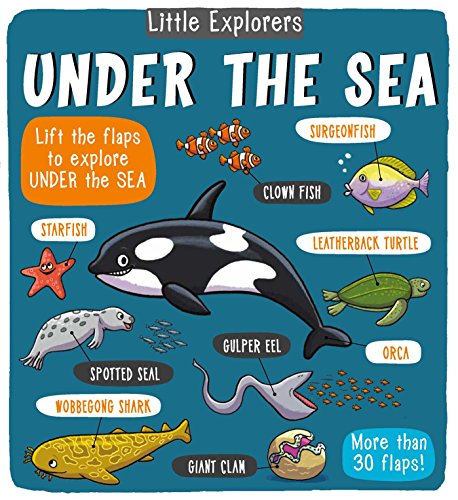 Book Cover Little Explorers: Under the Sea