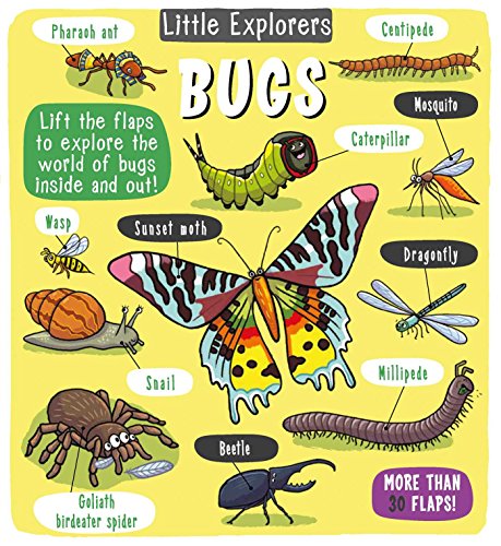 Book Cover Little Explorers: Bugs