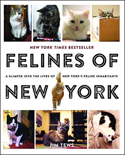 Book Cover Felines of New York: A Glimpse Into the Lives of New York's Feline Inhabitants