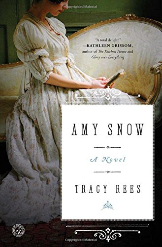 Book Cover Amy Snow: A Novel