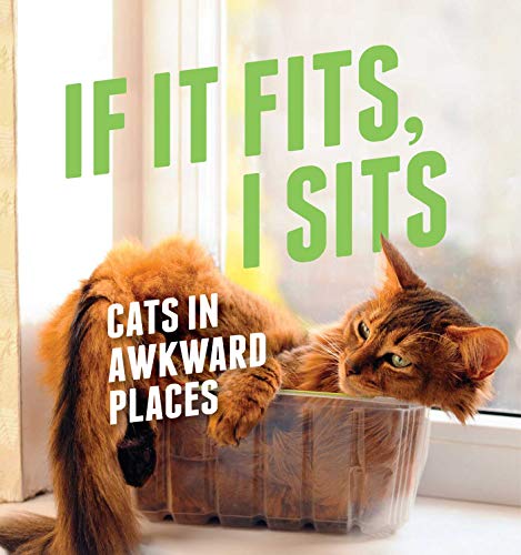 Book Cover If It Fits, I Sits: Cats in Awkward Places