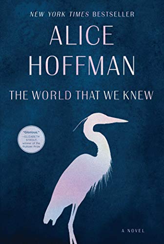 Book Cover The World That We Knew: A Novel