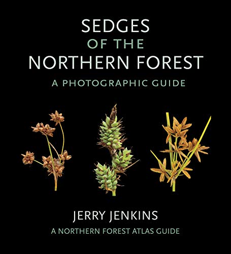 Book Cover Sedges of the Northern Forest: A Photographic Guide (The Northern Forest Atlas Guides)