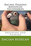 Racing Pigeons Advanced Techniques: Breeding and Pairing