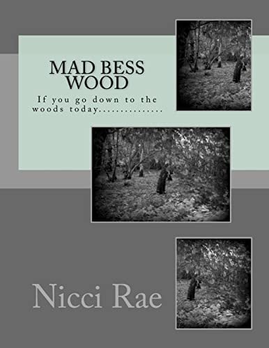 Book Cover Mad Bess Wood