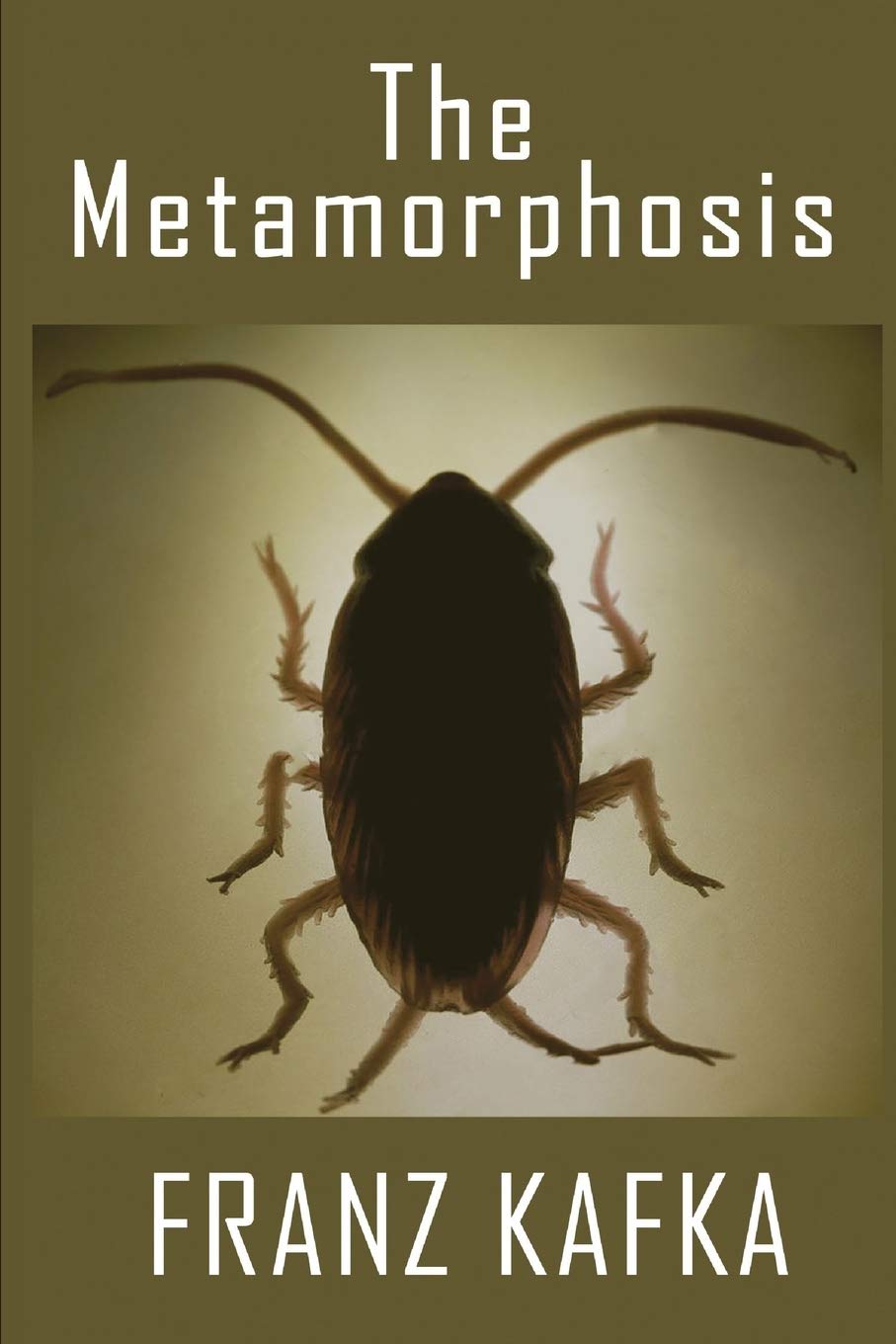 Book Cover The Metamorphosis
