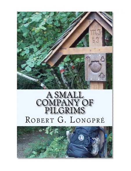 A Small Company of Pilgrims: On The Road To Santiago (Skyclad Pilgrim) (Volume 1)