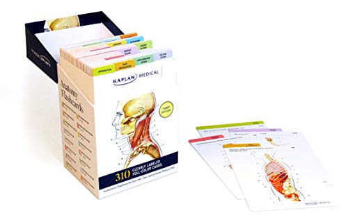 Book Cover Anatomy Flashcards