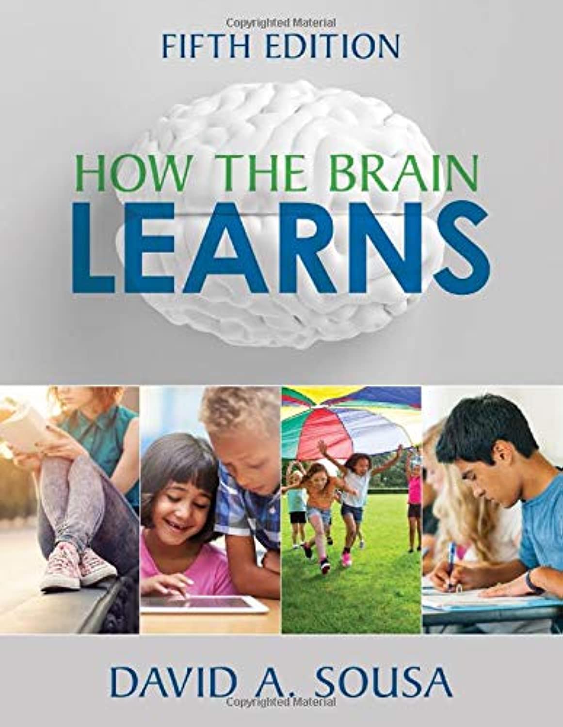 Book Cover How the Brain Learns