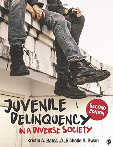 Book Cover Juvenile Delinquency in a Diverse Society