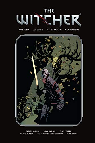 Book Cover The Witcher Library Edition Volume 1